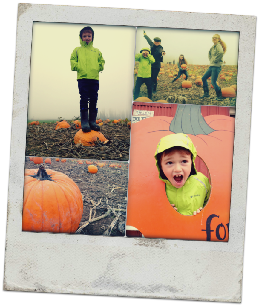 pumpkin patch polaroid